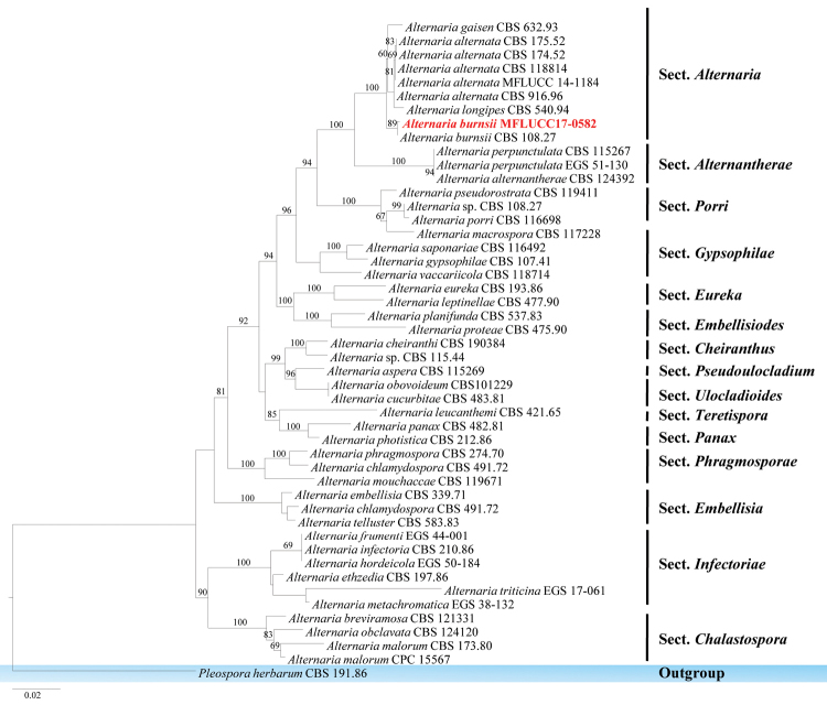 Figure 11.