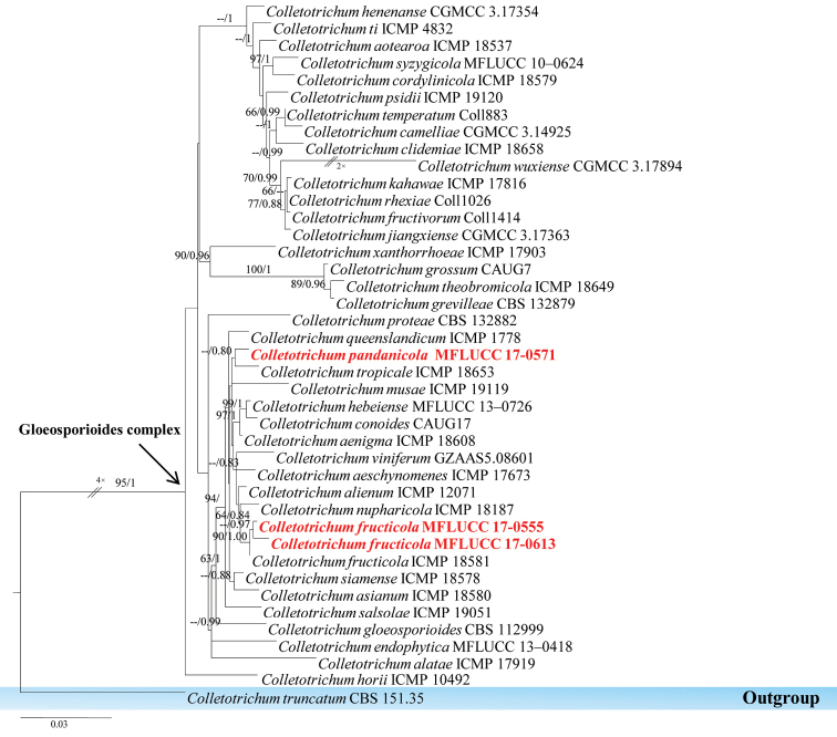 Figure 14.