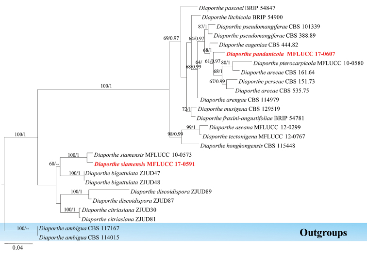 Figure 12.