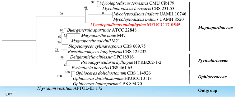 Figure 16.