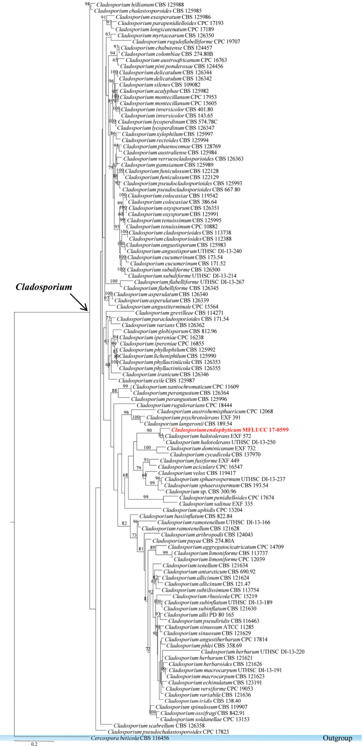 Figure 7.