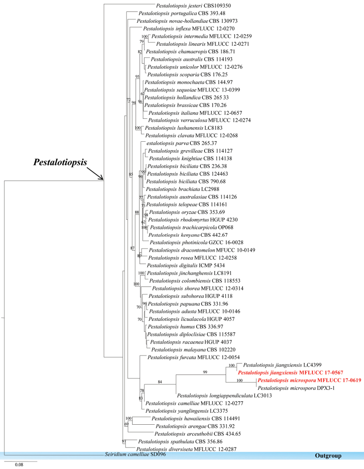 Figure 18.