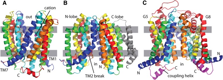 Fig. 4