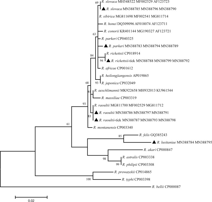 Fig. 1