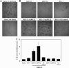 Fig 8