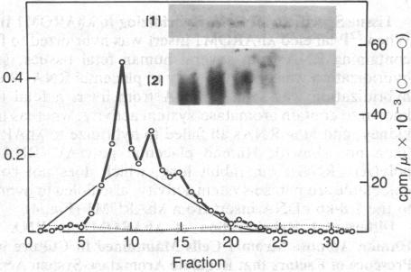 graphic file with name pnas00321-0165-d.jpg