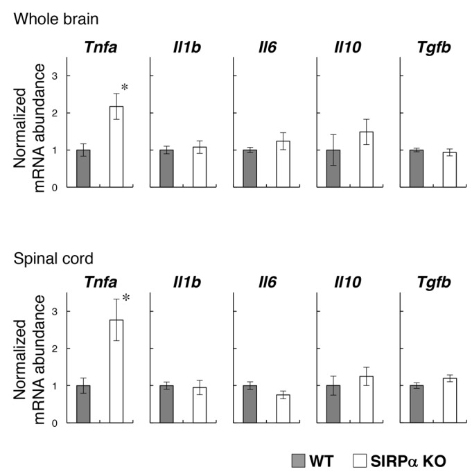 Figure 3—figure supplement 2.