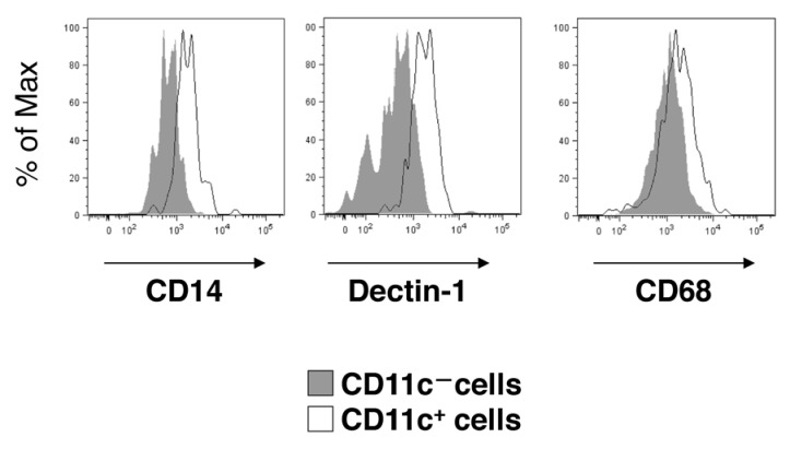 Figure 6—figure supplement 1.