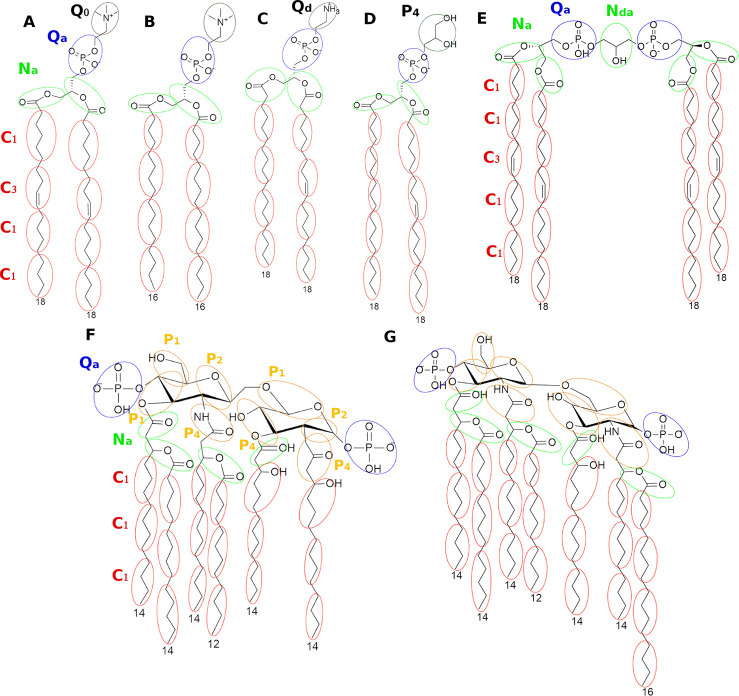 Figure 5