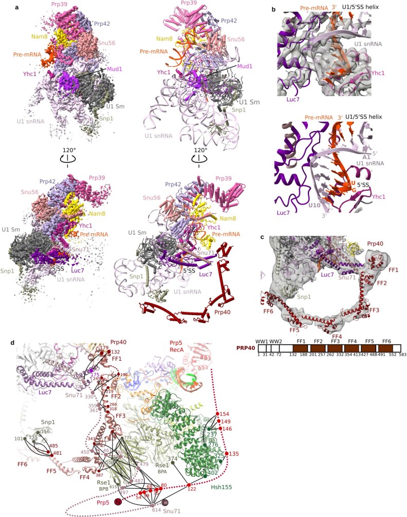 Extended Data Fig. 5