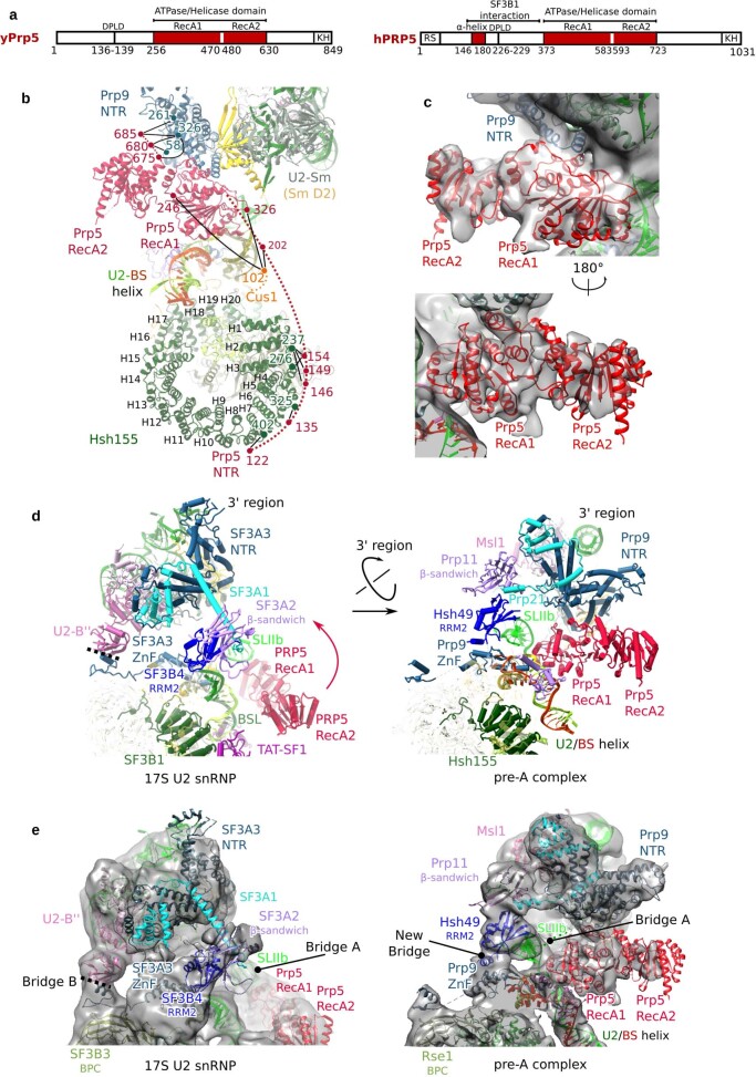 Extended Data Fig. 4