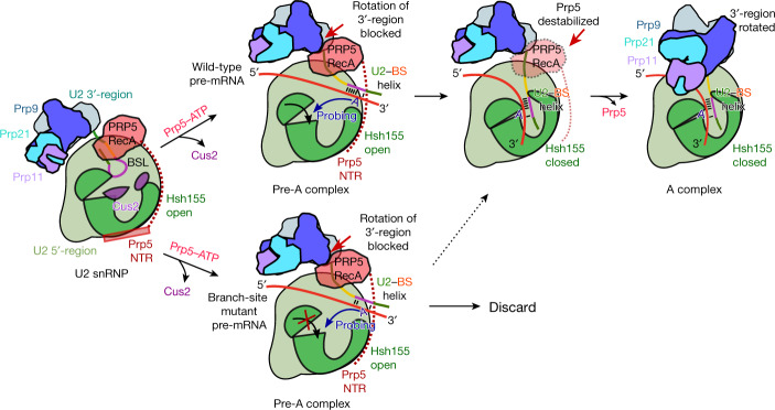 Fig. 4