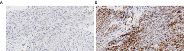 Figure 2