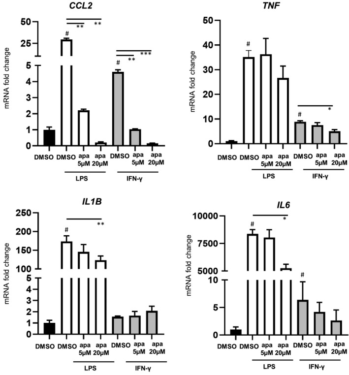 FIGURE 4