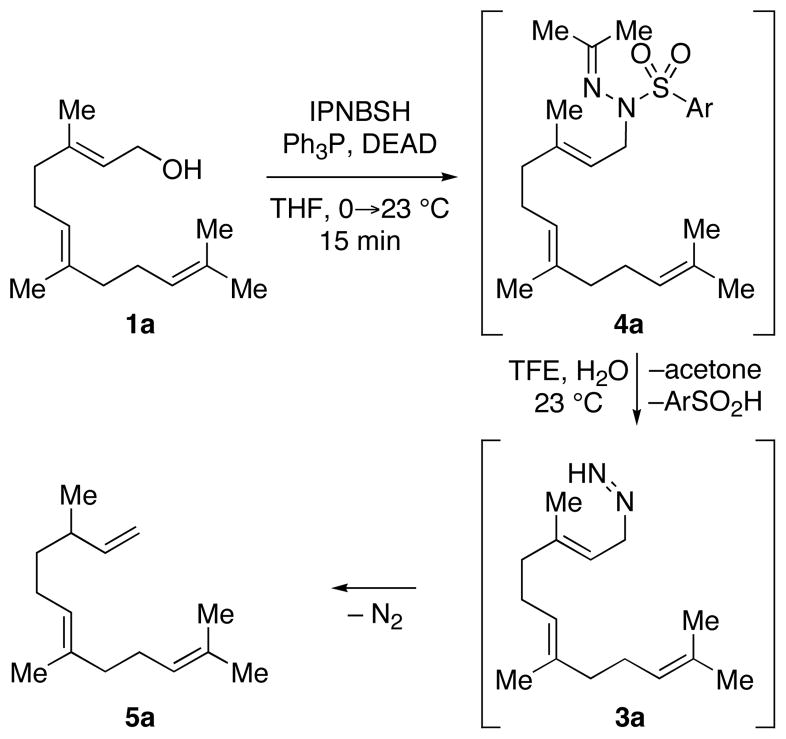 SCHEME 2