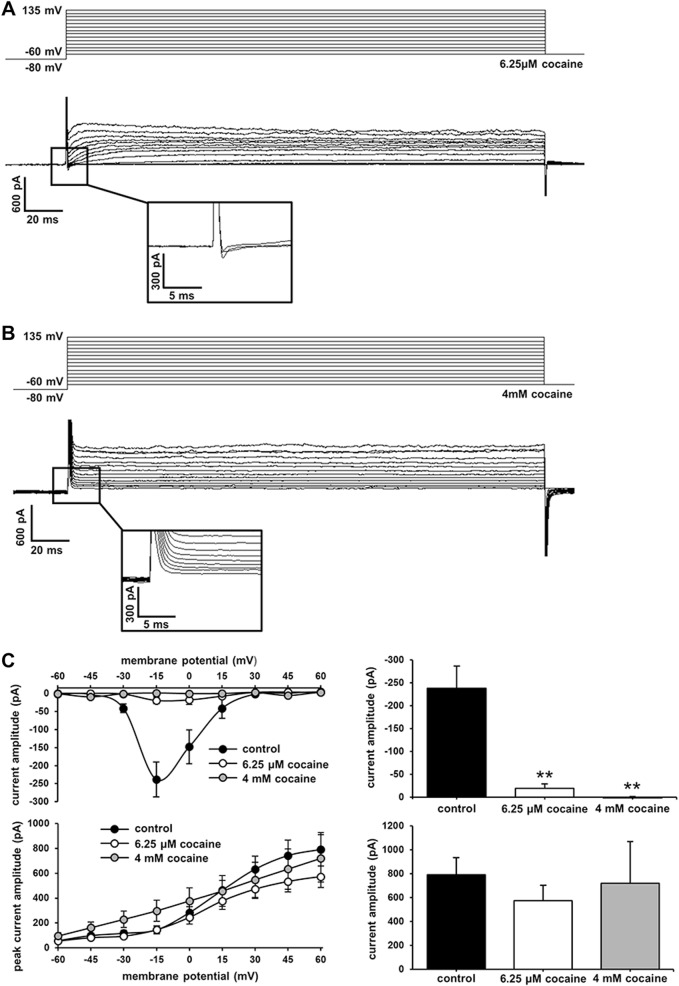 Fig. 5