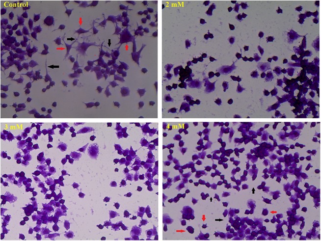 Fig. 2