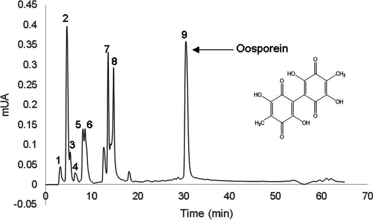 Fig. 4