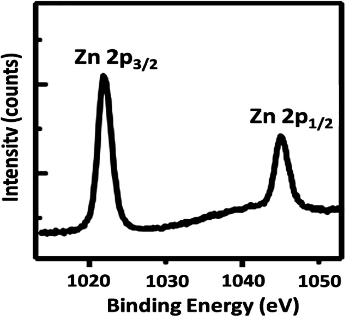 Fig. 12