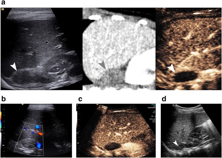 Fig. 3