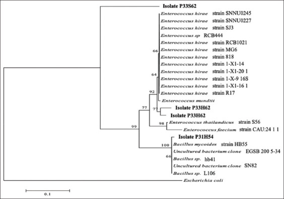 Figure-4