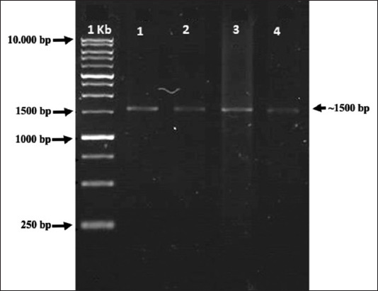 Figure-3