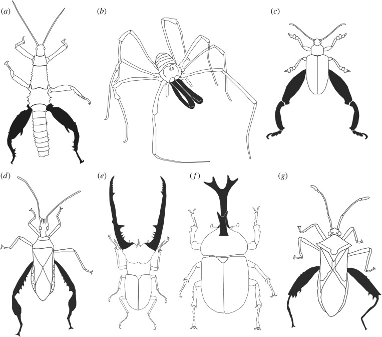 Figure 1.