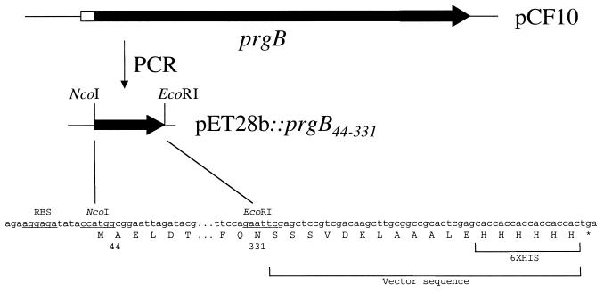 FIG. 1