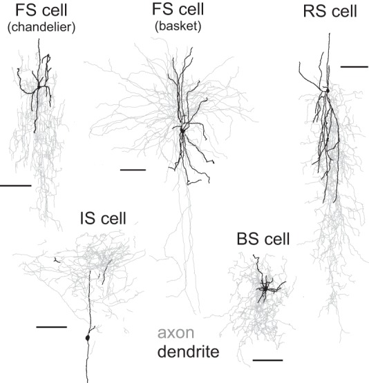 Fig. 2.