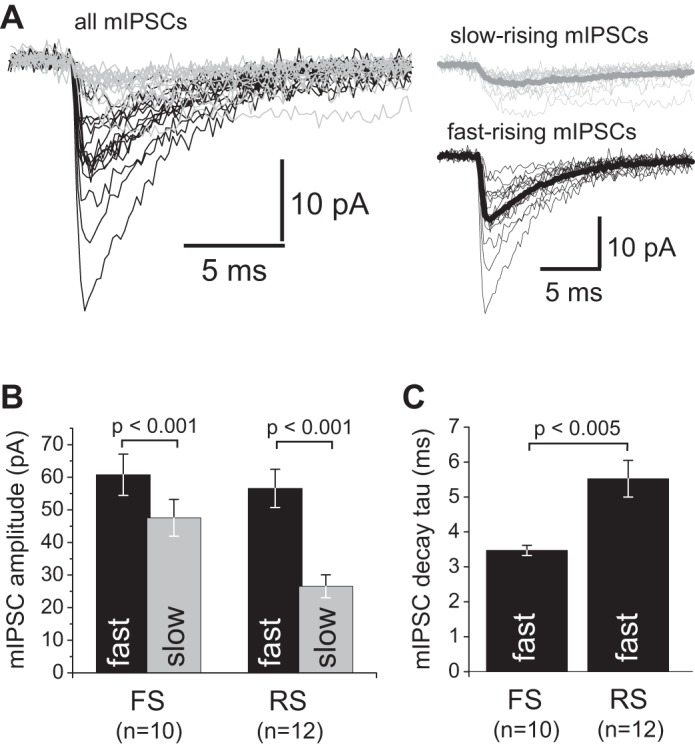 Fig. 9.