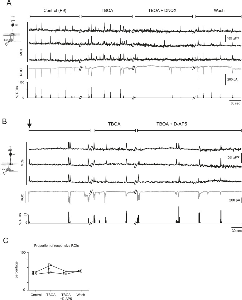 Figure 5—figure supplement 1.