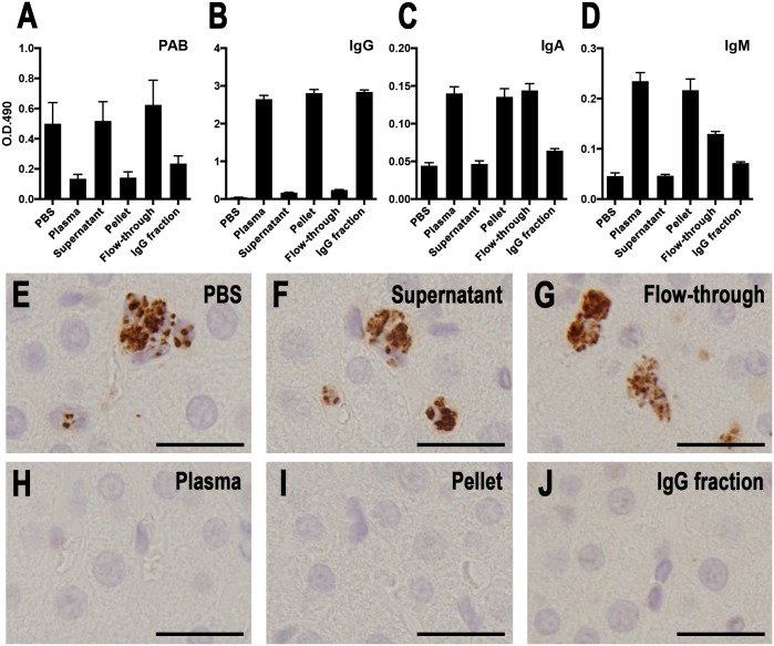 Fig 7