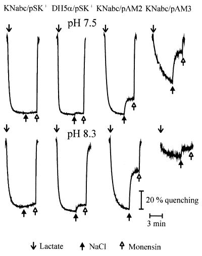 FIG. 5