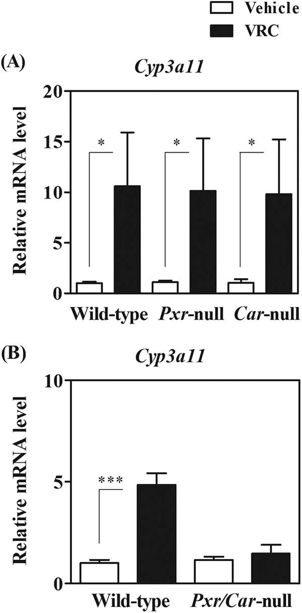 Fig 5