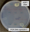 FIG 8