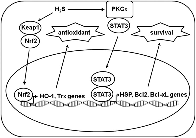 FIG. 5.