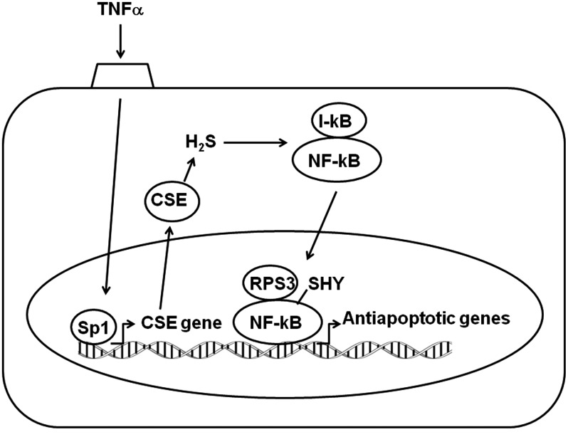 FIG. 6.