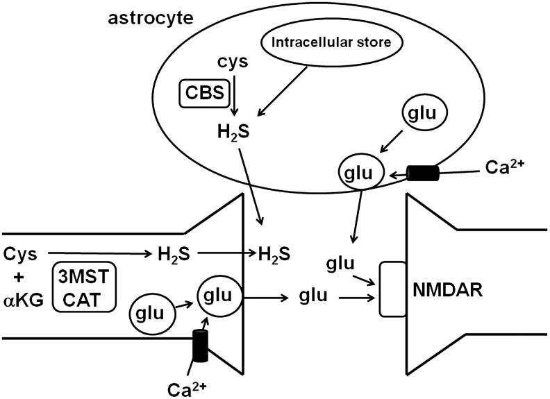 FIG. 4.