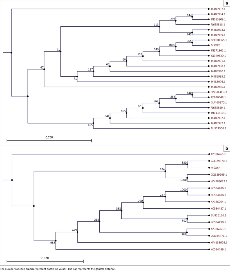 FIGURE 1