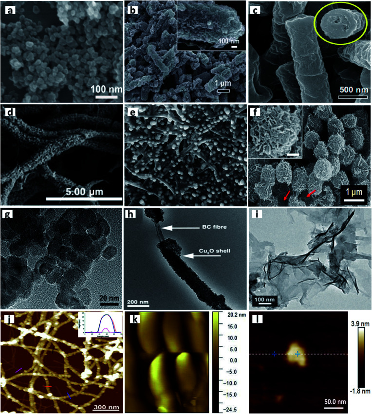 Fig. 10