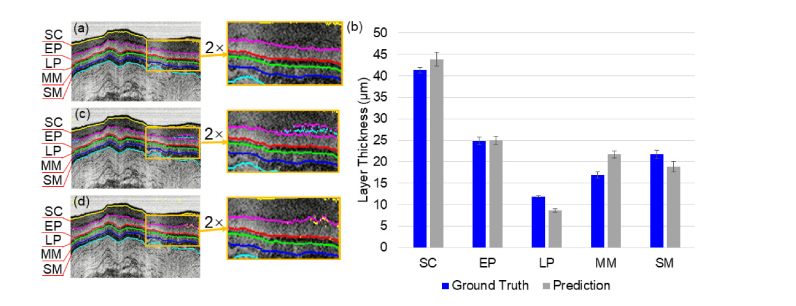 Fig. 4