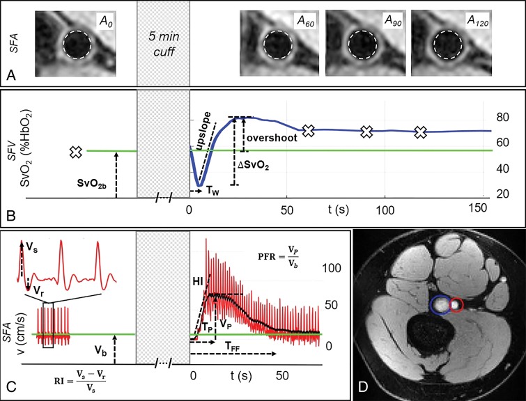 Figure 2: