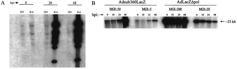 FIG. 5