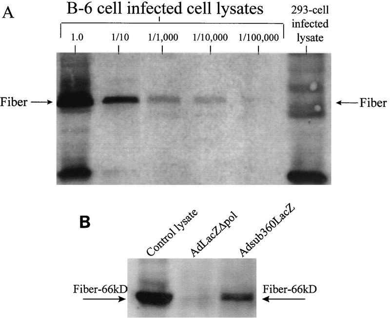 FIG. 6