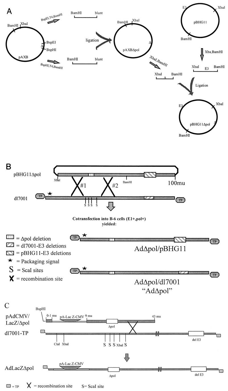 FIG. 1