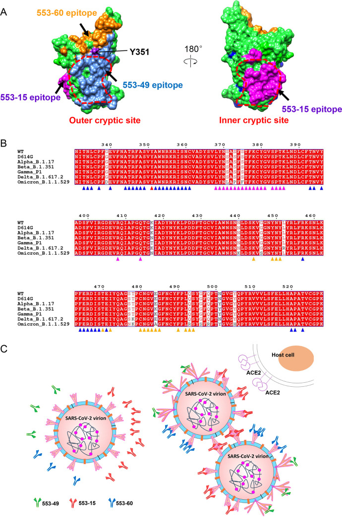 FIG 6