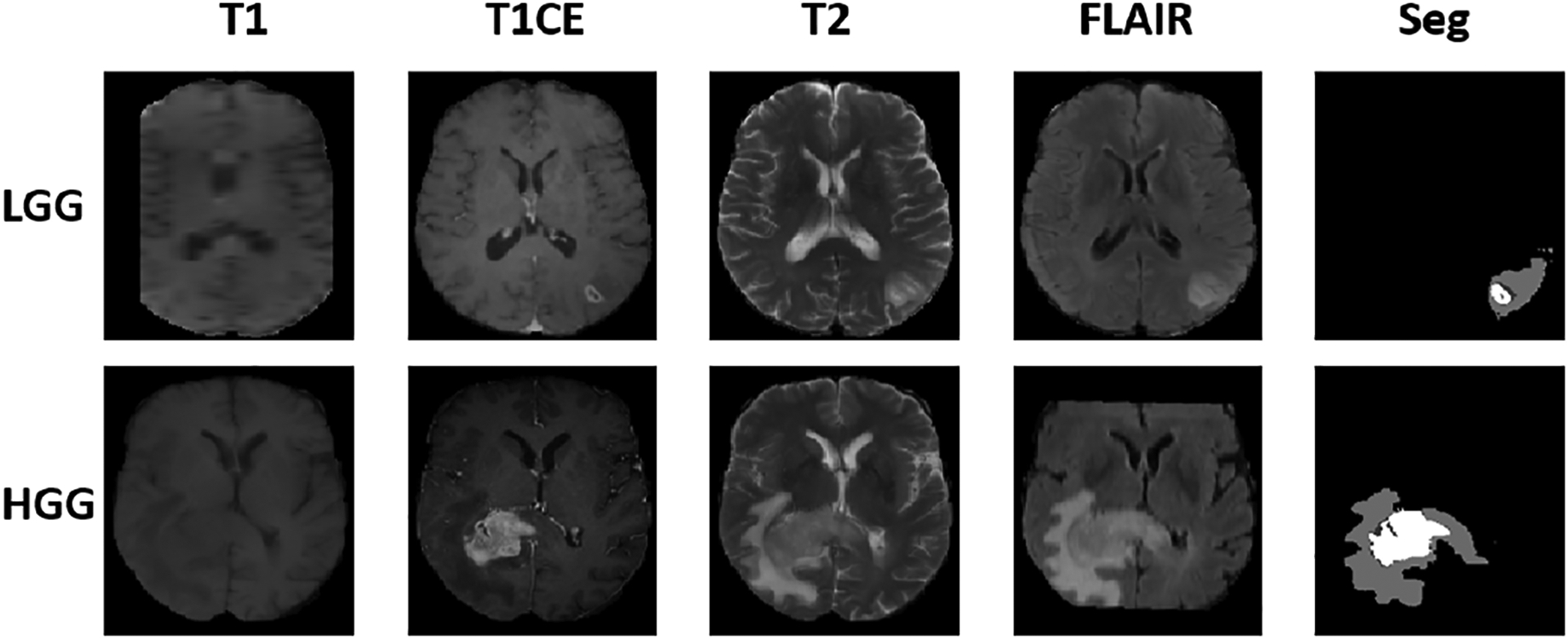 Fig. 5: