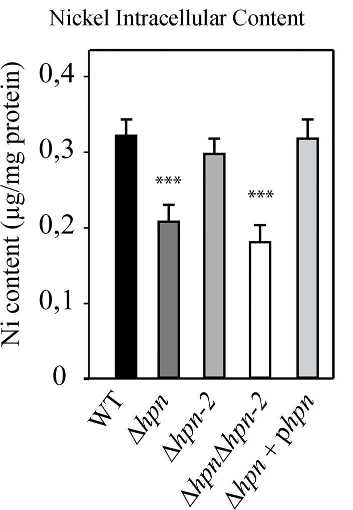 Fig 5