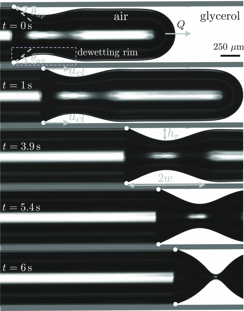 Fig. 1.