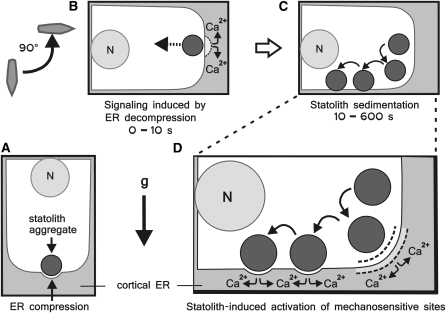 Figure 10.